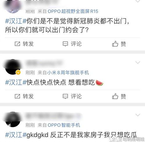 沉香今日爆料视频全集,今日爆料视频全集深度解析