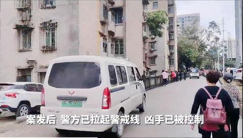 广西柳州网友爆料案件最新,惊曝某案件最新进展，真相令人震惊！