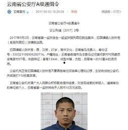 张林最新爆料视频播放,事件真相再引热议