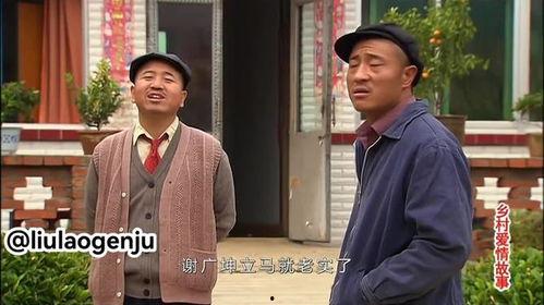 乡村爱情3在线观看,续写乡村传奇，重温亲情与友情