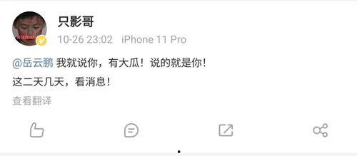 爆料大瓜被抓视频大全下载,大瓜被抓视频大全下载事件全解析