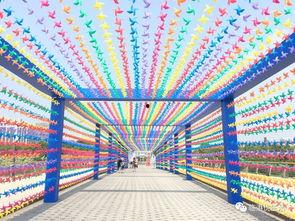 风车最新爆料,揭秘神秘项目背后的秘密与未来展望