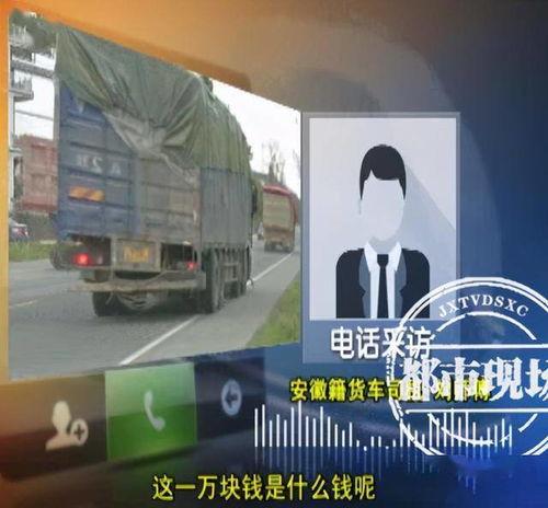 黑龙江都市爆料新闻直播,聚焦民生热点，揭示社会真相