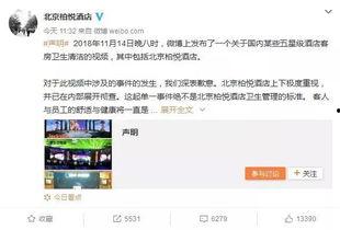 热点爆料视频在线播放