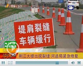 荆州爆料最新,揭秘当地最新热点事件