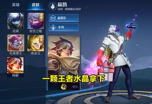 扁鹊勇者皮肤爆料最新