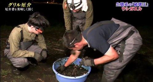 牛哥爆料完整视频,完整视频内容深度解析