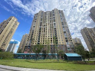 新宇星城爆料事件最新,揭秘背后真相与争议