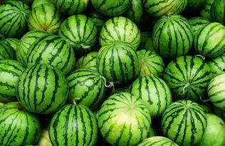 网红吃瓜资源群,幕后真相大曝光