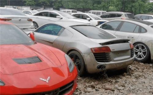 最新玛莎爆料视频播放网站,揭秘幕后真相